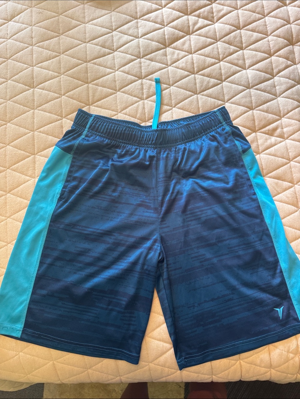 Old Navy Navy Shorts with Teal Side Panels